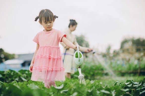 Atividades para desfrutar em uma casa na roça simples