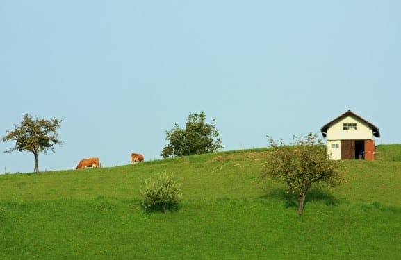 Casa na Roça Simples: O Refúgio Perfeito para Quem Busca Tranquilidade