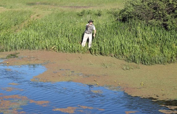 Atividades para desfrutar em uma casa na roça simples