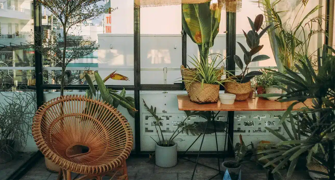 As Plantas Mais Usadas na Decoração de Varandas: Um Guia Completo! As Plantas Mais Usadas na Decoração de Varandas: Um Guia Completo!