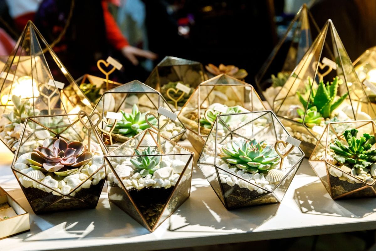 Foto: Canva.com Terrário de Suculentas: Faça Um Mini Jardim Encantador!
