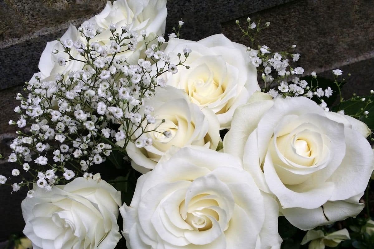 Flores Mosquitinho: O Toque Mágico na Decoração do Seu Casamento
