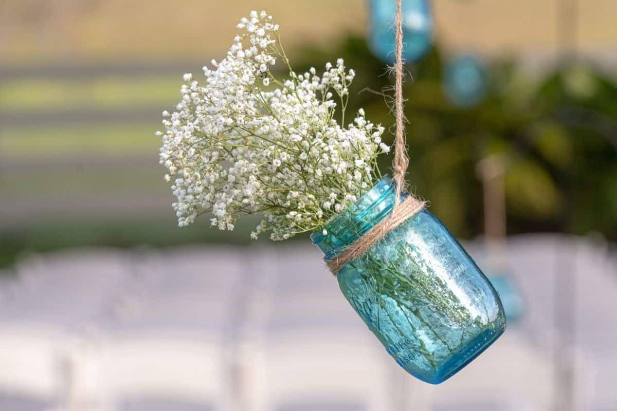 Flores Mosquitinho: O Toque Mágico na Decoração do Seu Casamento
